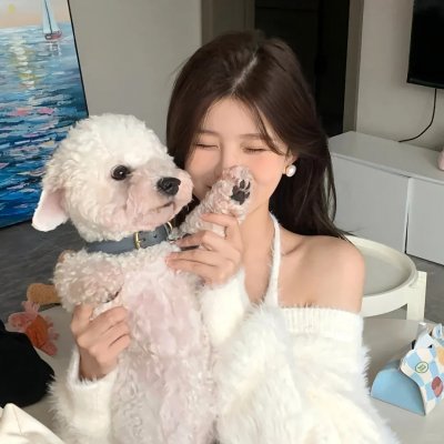 少帅